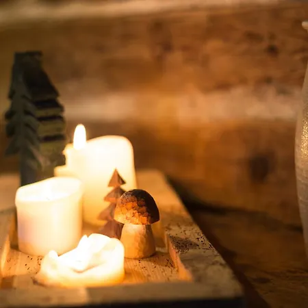 Berghuette Vogtland בית נופש *